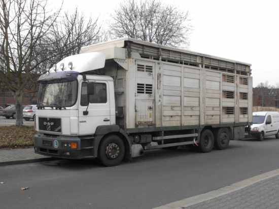 lkw2