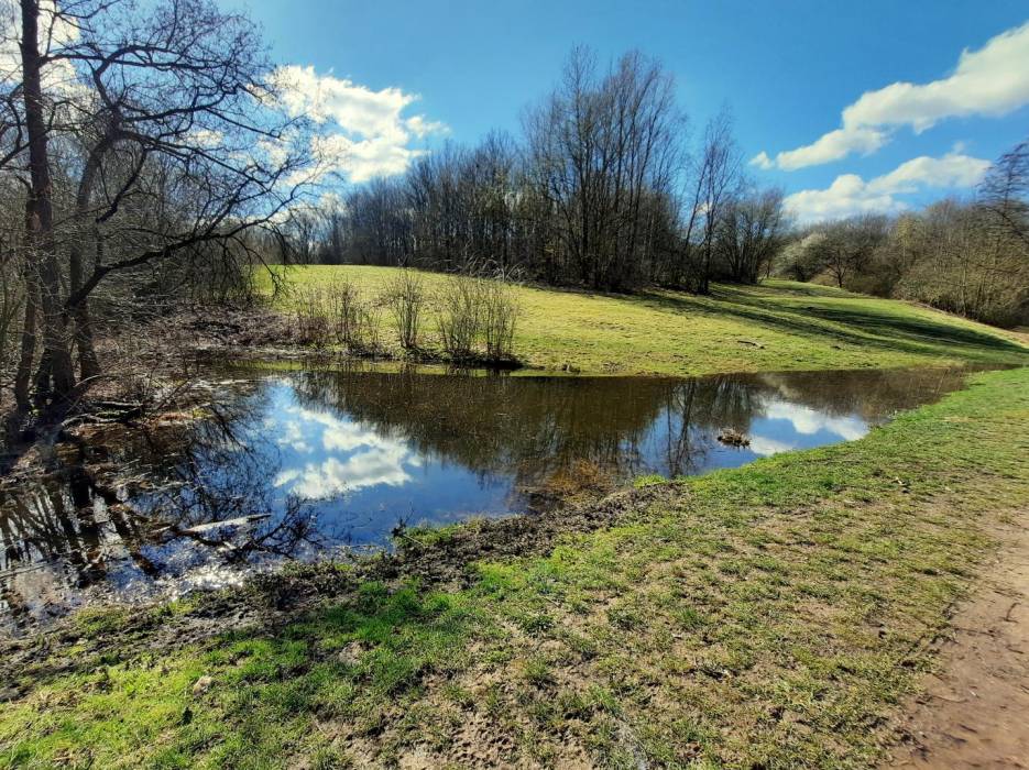 biotope-rotthausen